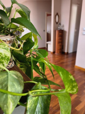 Casa vacanze Annina Pescara